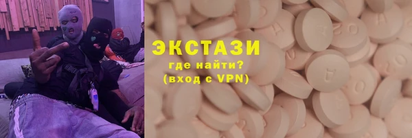 молекула духа Вяземский
